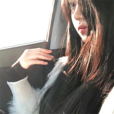 芝加哥警署第九季